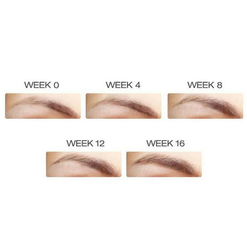 BrowFood Phyto-Medic Sérum embellisseur de sourcils 5 ml BFPM-EB-N / 01790