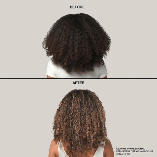 Clairol BW2 Poudre éclaircissante 454 g 14704