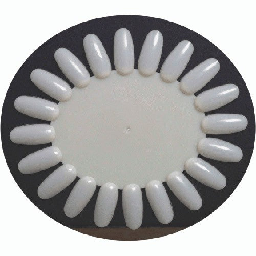 Berkeley Polish Color Display Oval 20Tips - Naturel PD102NT