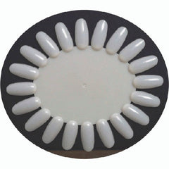 Berkeley Polish Color Display Oval 20Tips - Naturel PD102NT