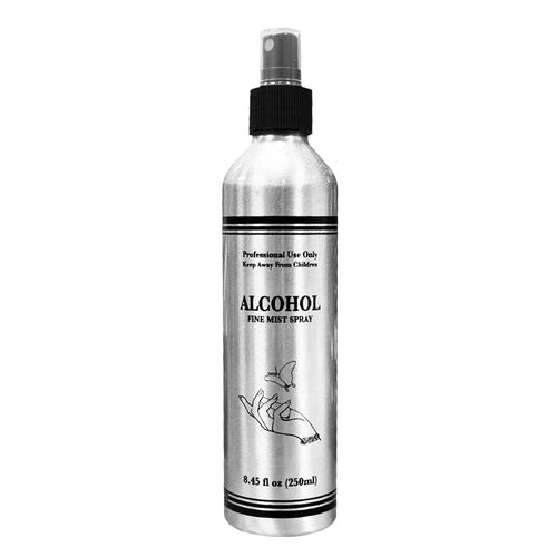 Berkeley Bouteille Vaporisateur Fine Brume 250ml-Argent BT552SV