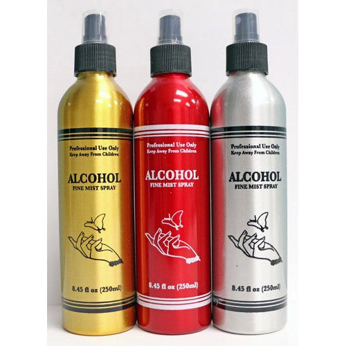 Berkeley Bouteille Vaporisateur Fine Brume 250ml-Argent BT552SV