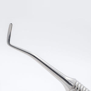 Staleks Expert 20 Type 2 Ingrown Nail File  #306