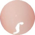CND Shellac Nude Knickers 7,3 ml - 91956