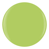 Gelish Xpress Dip Powder 43g - Into The Lime-Light 1620424