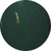 Color Club Artsy Crafty 15 ml - 0,5 oz #924