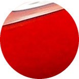 Color Club Look Book 0,5 oz liq. - 15 ml #964