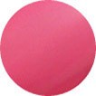 Color Club Flamingo 0,5 oz. - 15 ml #983