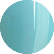 Color Club Evolution 0,5 oz. - 15 ml #988
