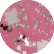 OPI Faisons tout ce que nous voulons ! 15 ml NL M78
