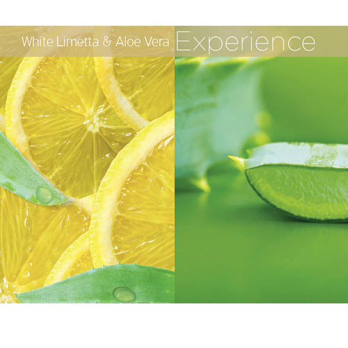 Cuccio Beurre Lyte 236 ml - Limette Blanche & Aloès 3280/CNSC2025
