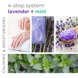 BCL SPA Gommage au sucre 64 oz - Lavande+Menthe - SPA50014