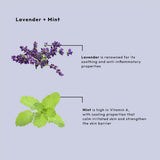 BCL SPA Masque hydratant 1,8 kg - Lavande + Menthe 50015
