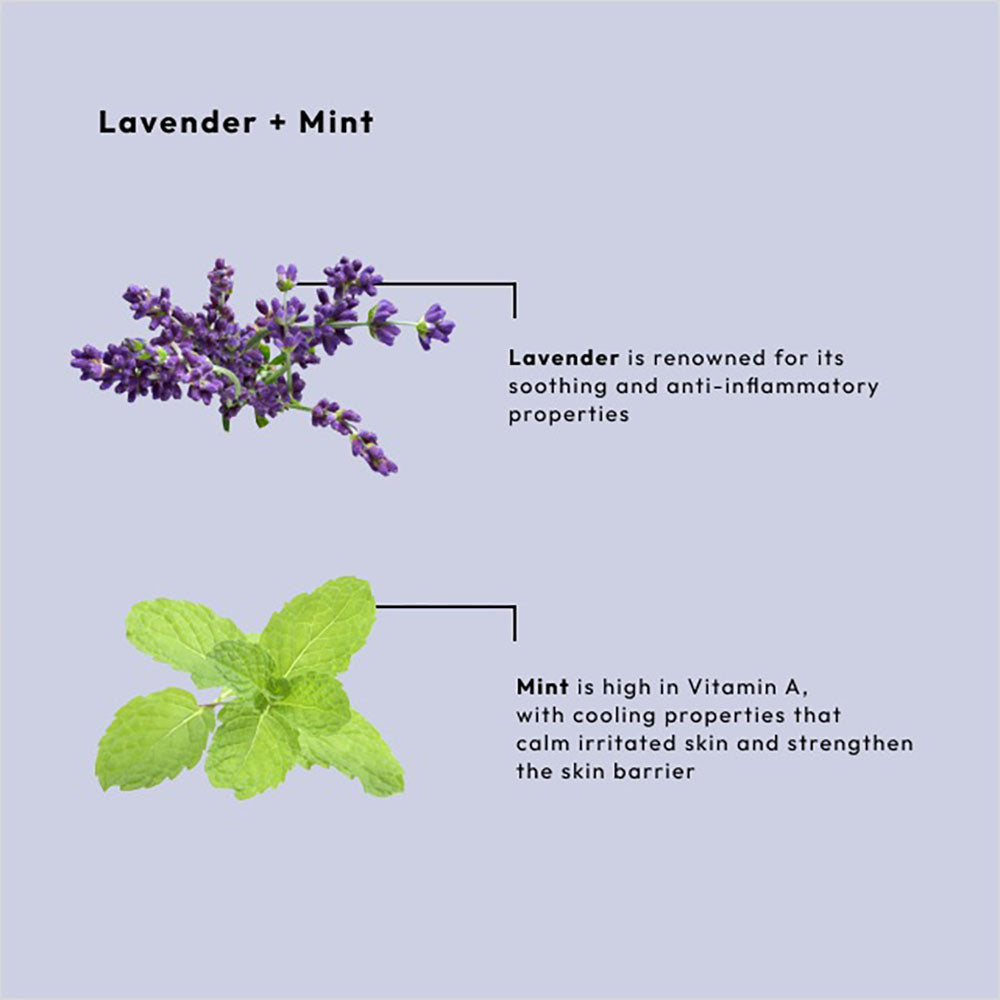 BCL SPA Crème de Massage 16 oz - Lavande+Menthe 53106