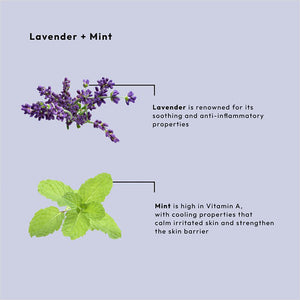 BCL SPA Crème de Massage 16 oz - Lavande+Menthe 53106
