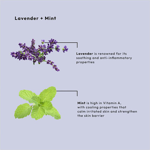 BCL SPA Crème de Massage 16 oz - Lavande+Menthe 53106