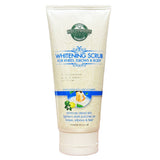 Exfoliant blanchissant HollyWood pour genoux, coudes, corps 150g #50273