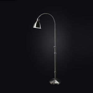 Daylight Flexi-Vision Floor Lamp U31067