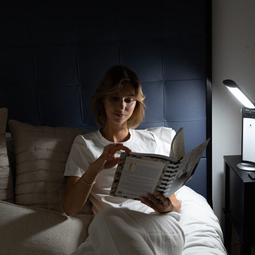 Lampe de luminothérapie et de travail Daylight TwoSun U36201