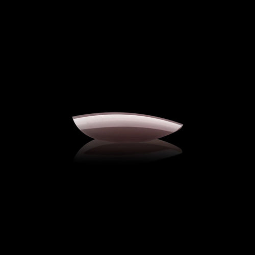 Apres Gel-X Mia Neutrals Rond Naturel Court 150PC 40178