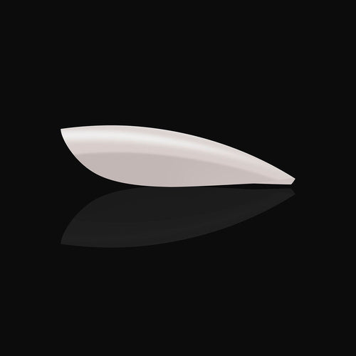 Apres Neutrals Gel-X Whitney Natural Stiletto Court 41157
