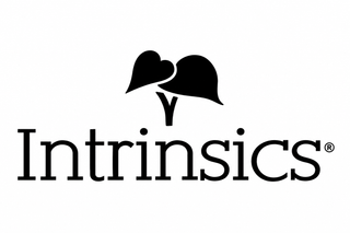 Intrinsics